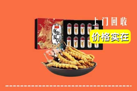 天津武清区回收冬虫夏草